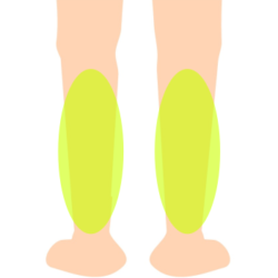 ひざ下(すね)