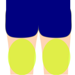 ひざ上(太もも)